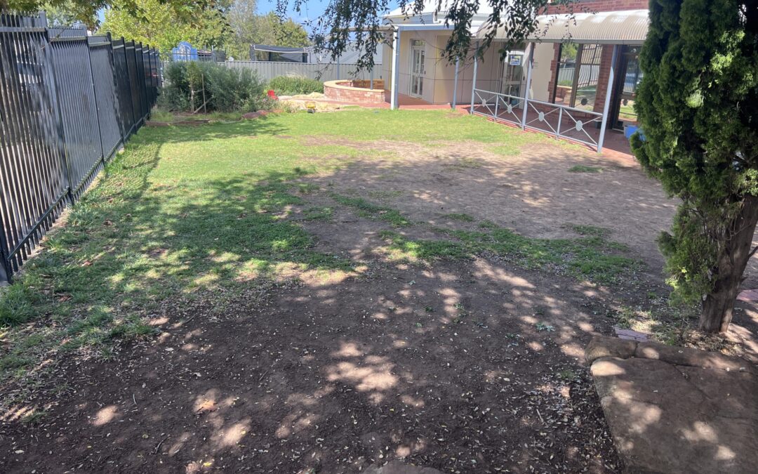 Changes to Young Street Garden – Term 2