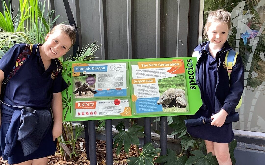 Links to learning at the Zoo!