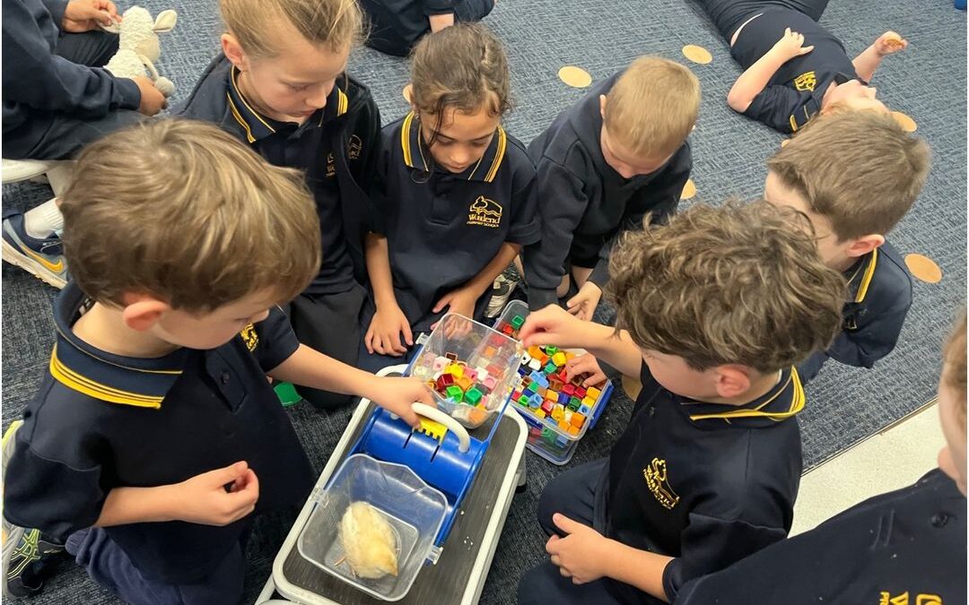 Henny Penny Hatching Program