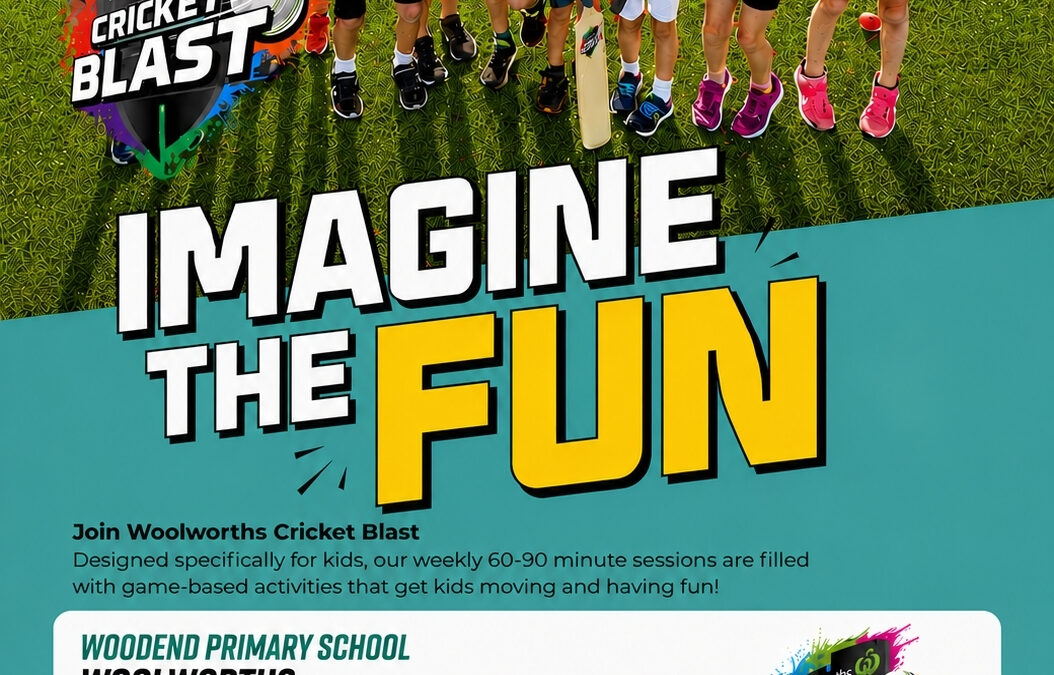 Want to have some cricket fun?